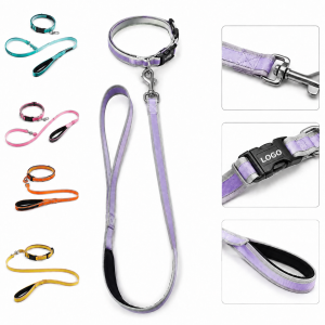 Reflective Padded Pet Collar and Traction Lead Duo
